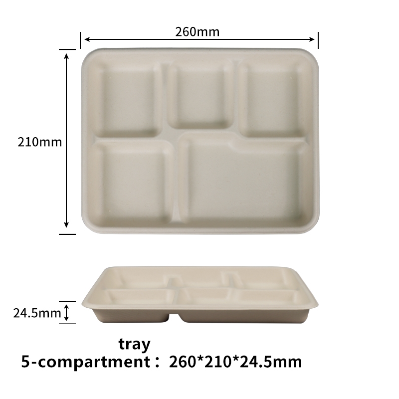 100% Compostable 5 Compartment Paper Plates Disposable School Lunch Trays, Eco-Friendly Bagasse Plates for Buffet and Party