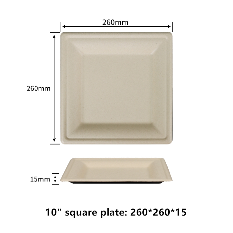 100% Compostable 10 inch Square Paper Plates PFAS-Free BPI Certified Heavy Duty Eco-Friendly Biodegradable Bagasse Dinner Plates