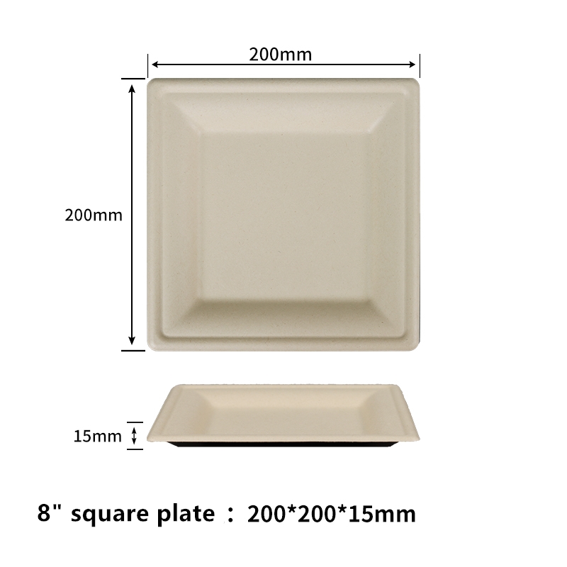 8 inch Compostable Paper Plates Square Plates Disposable Eco-Friendly Biodegradable Made of Sugarcane Fibers