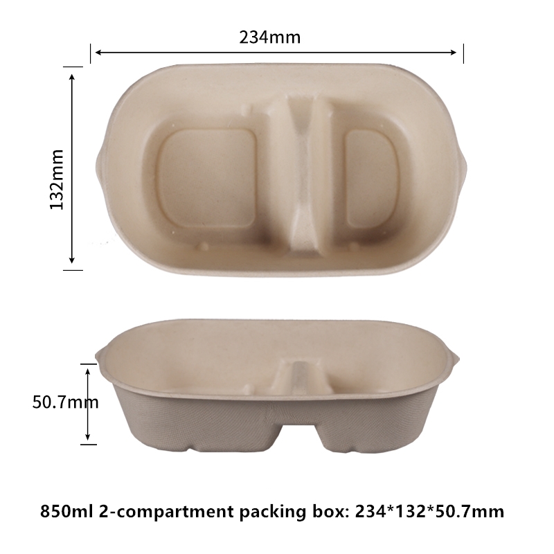 Compostable Take Out Food Containers 850ml 2-Compartment Cacking Box Bagasse to Go Container Rectangular Disposable Paper Bowl Meal Prep Food Container for Salad Leftovers