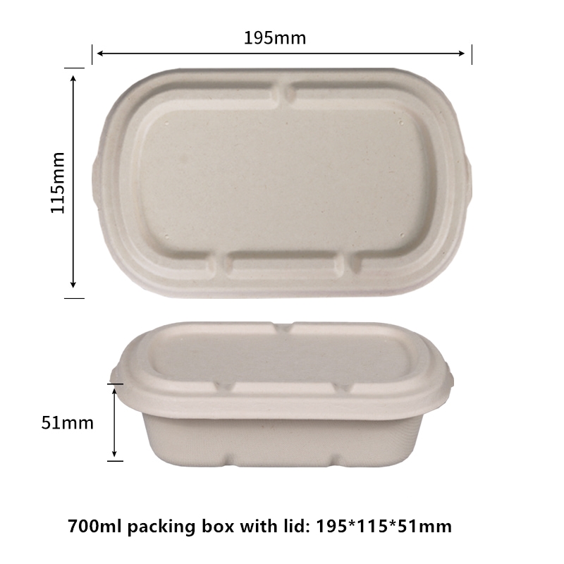 Sugarcane 100% Biodegradable PFAS-Free 700ml Clamshell Food Containers with Lids  Compostable Burger Takeout Containers- Eco Bagasse To-Go Boxes Disposable Microwavable Boxes