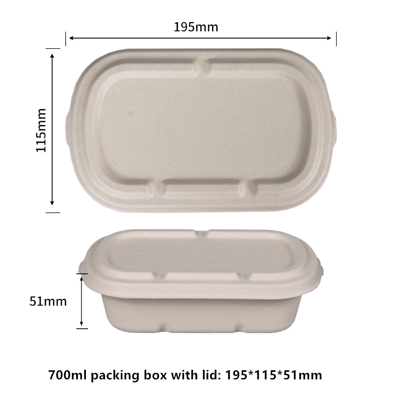 PFAS Free Sugarcane 100% Biodegradable PFAS-Free 700ml Clamshell Food Containers with Lids  Compostable Burger Takeout Containers- Eco Bagasse To-Go Boxes Disposable Microwavable Boxes