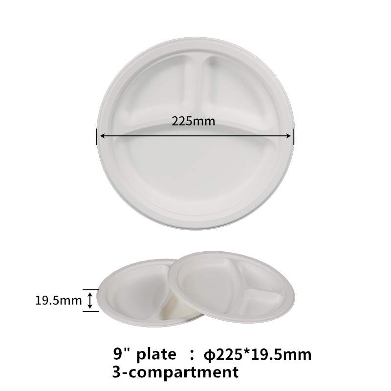 disposable plates with sections