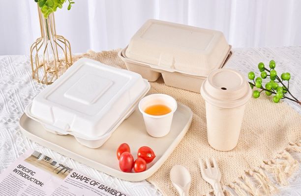 Bagasse Tableware Market to Hit US$ 356.7 Million by 2030: Sustainable Alternatives Gain Momentum