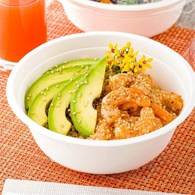 Sugarcane bagasse bowl Sugarcane bagasse bowl