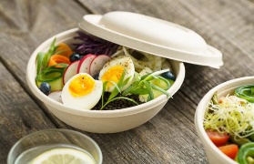The Reasons Why People Love Disposable Sugarcane Bagasse Degradable Tableware