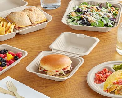 Innovation and Future Development in Sugarcane Bagasse Tableware
