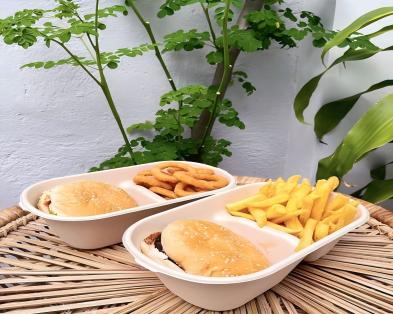 Why Sugarcane Bagasse Tableware is the Future of Sustainable Dining