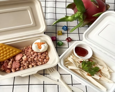 Sugarcane Bagasse Tableware – A Fashionable Choice for Green Living