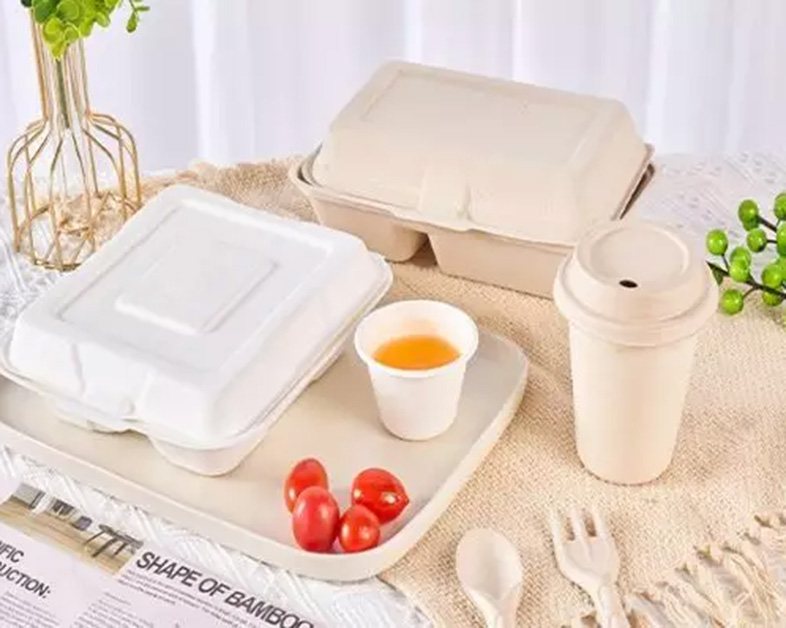 Bagasse Tableware Market to Hit US$ 356.7 Million by 2030: Sustainable Alternatives Gain Momentum