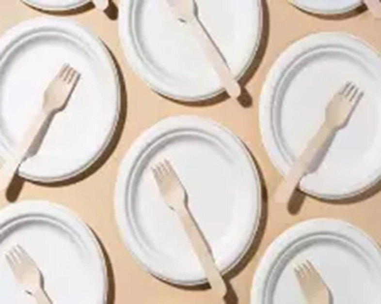 The Soaring Demand for Disposable Tableware in Restaurant Delivery Services: A Focus on Sustainable Solutions with Sugarcane Pulp