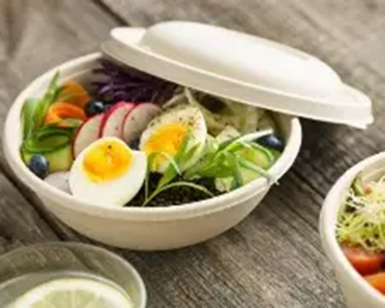 The Reasons Why People Love Disposable Sugarcane Bagasse Degradable Tableware