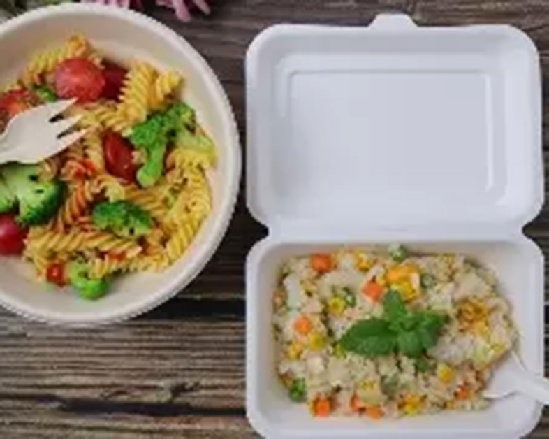 The Evolution of Food Packaging in the Fast-Paced Era: A Journey Through Innovation and Sustainability