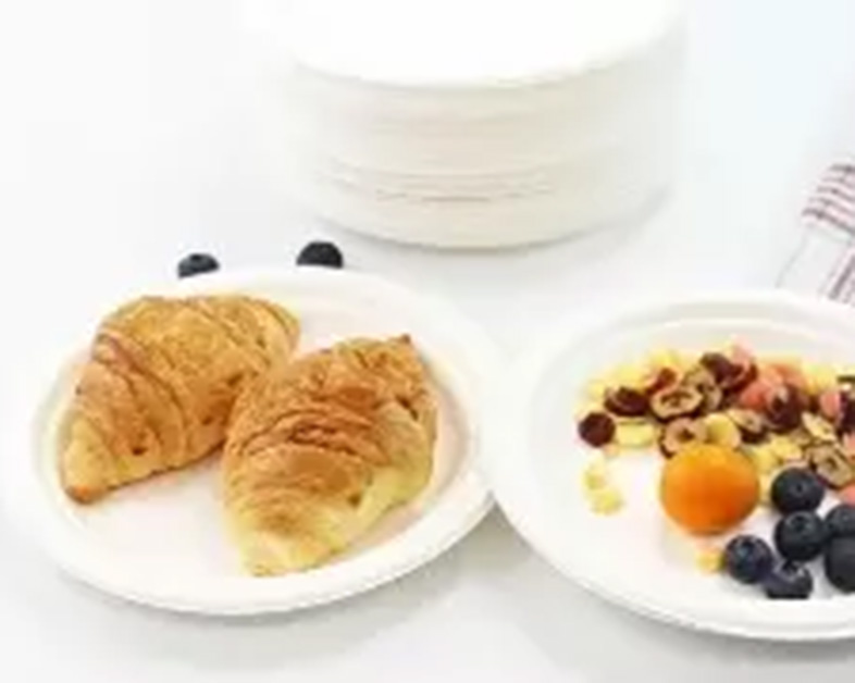 Our Vision for Sustainable & Eco-Green Foodservice