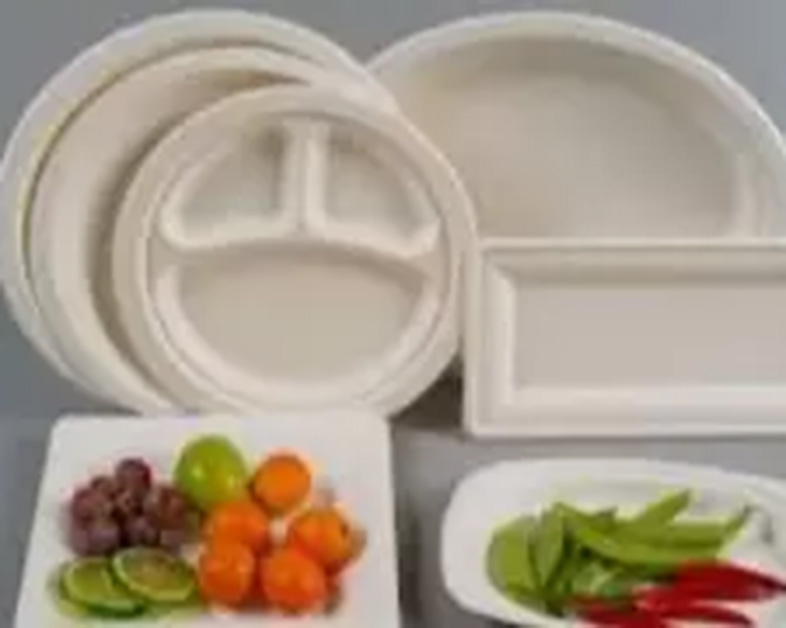 What is Bagasse? 14 Advantages and Benefits of Bagasse Packaging
