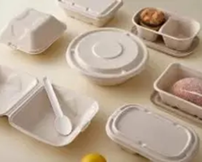 Sugarcane Pulp Biodegradable Plate: A Sustainable Revolution in Tableware