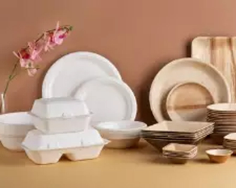 Go Green with Eco-Friendly Alternatives to Plastic and Foam Containers