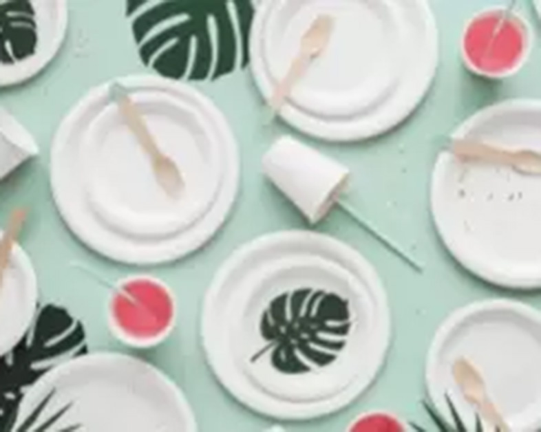 Sugarcane Tableware for Every Application