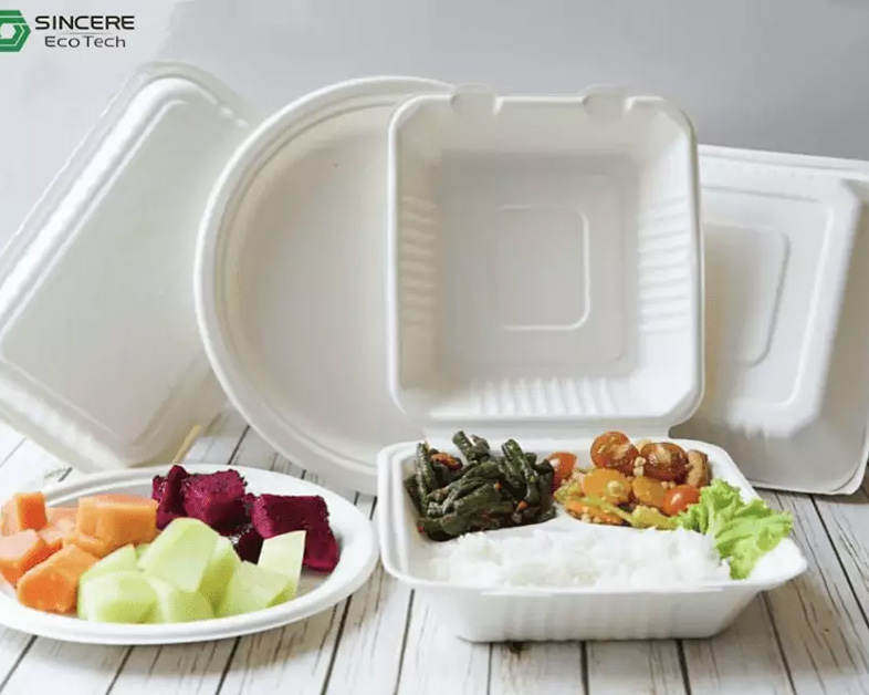 Sugarcane Tableware: The Perfect Choice for Every Occasion