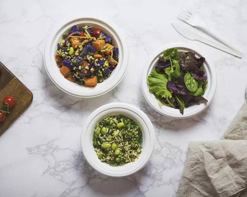 The Future of Biodegradable Tableware: An Example of Bagasse Plates