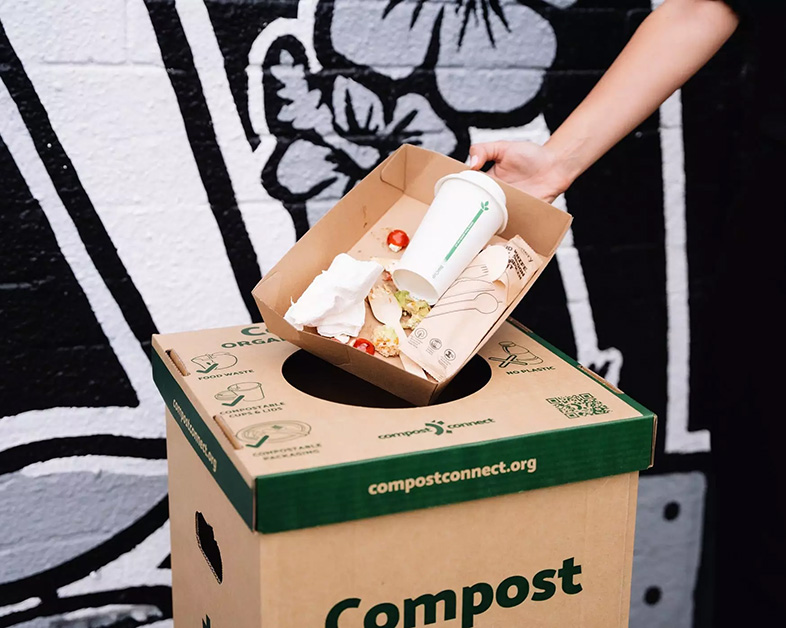 Sugarcane Bagasse: An Environmentally Friendly Alternative to Traditional Plastics