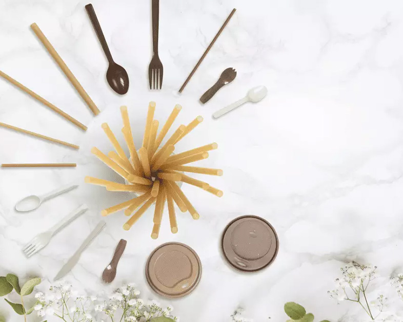 Eco-Friendly Choice Under Hong Kong's Plastic Ban: Sugarcane Bagasse Tableware