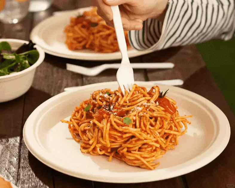 Sugarcane Pulp Tableware Revolutionizes Sustainability in Dining