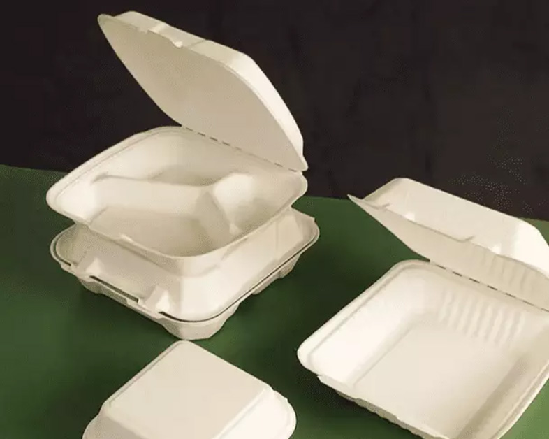 What Does the Future Hold for Sugarcane Pulp (Molded Pulp) Food Containers?