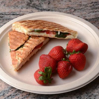 France Bans Disposable Plastic Tableware in Fast-Food Outlets: Golden Era for Plant Fiber Molding Exports